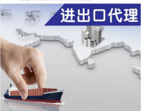 广州代理报关公司