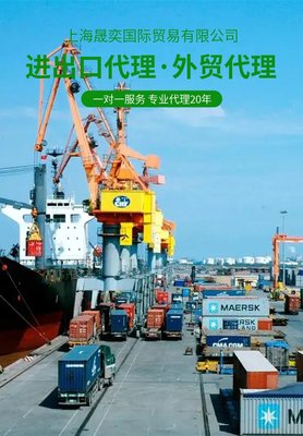 外贸出口代理公司 20年外贸出口行业代办经验 一对一服务