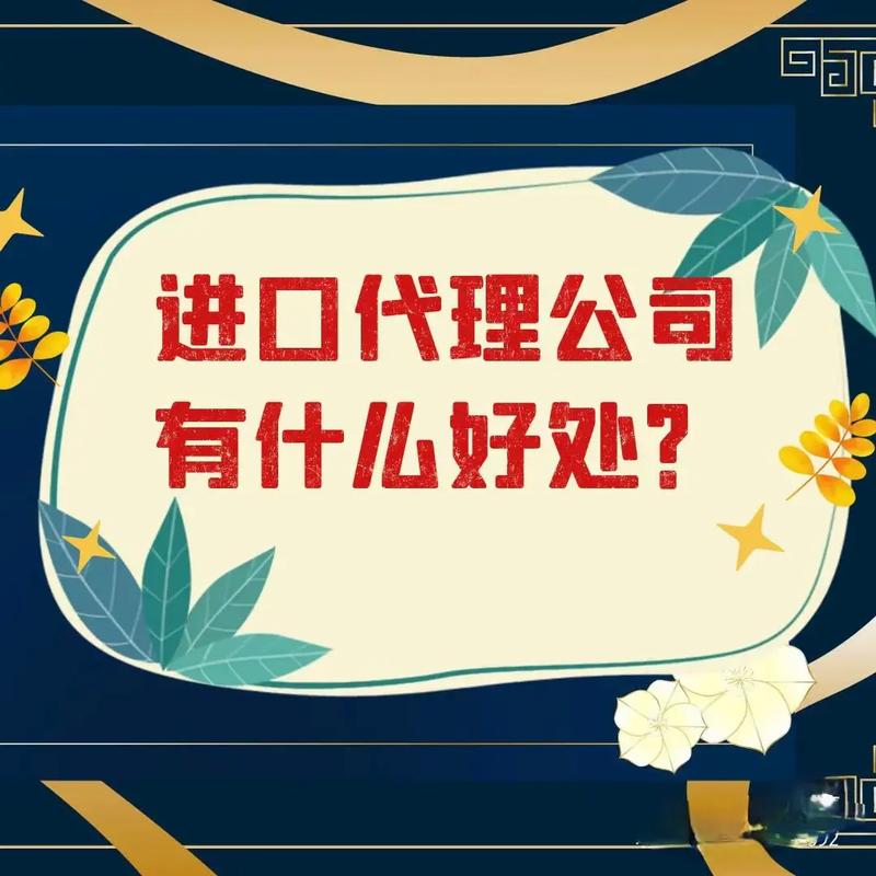 专业注国际贸易代理服务.